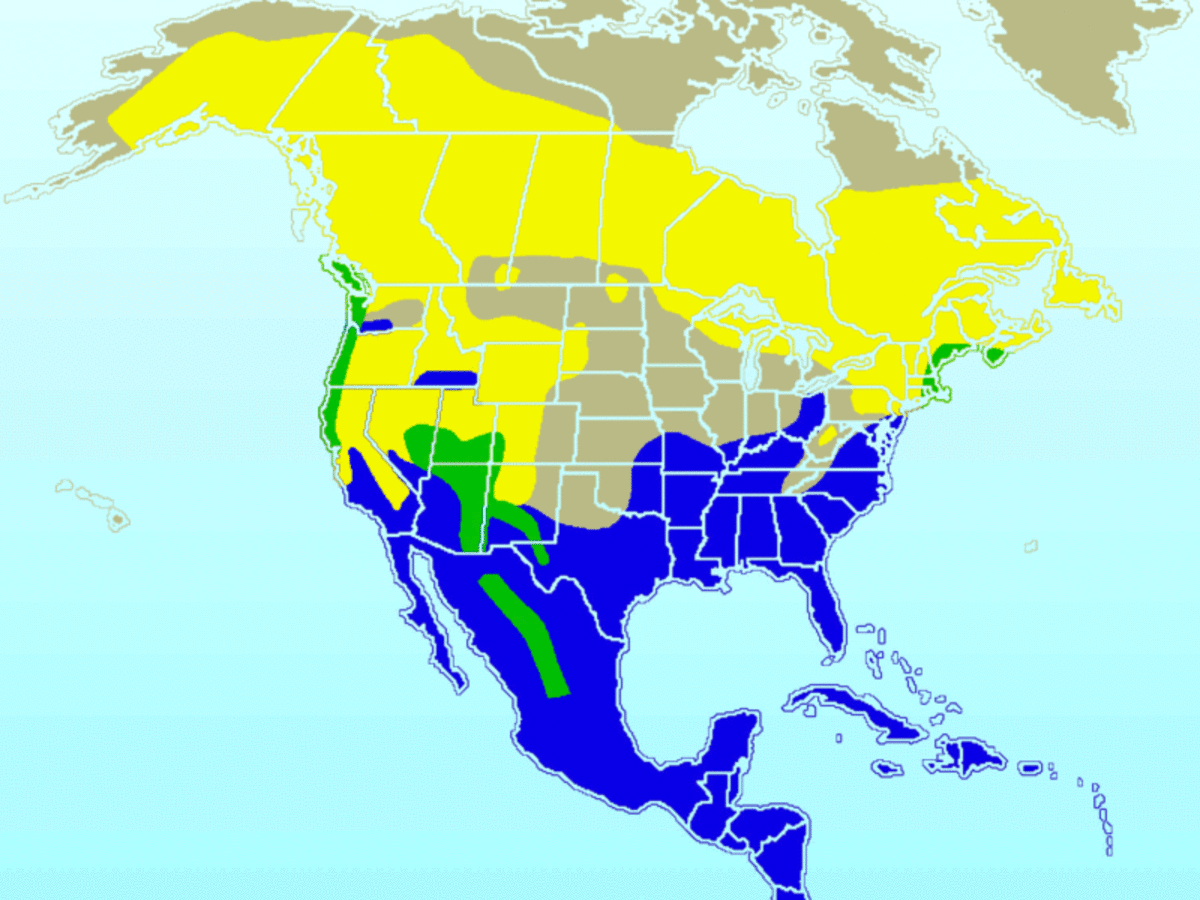 Yellow = summer only Blue = winter only Green = year-round