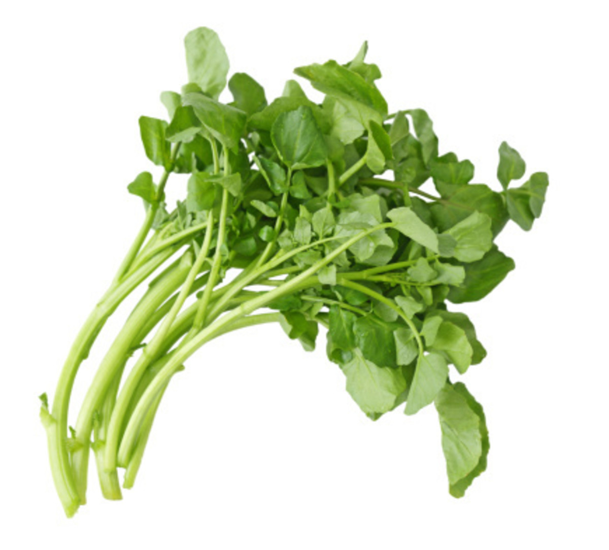get-even-more-greener-by-eating-the-last-four-leafy-green-vegetables-in-your-meals