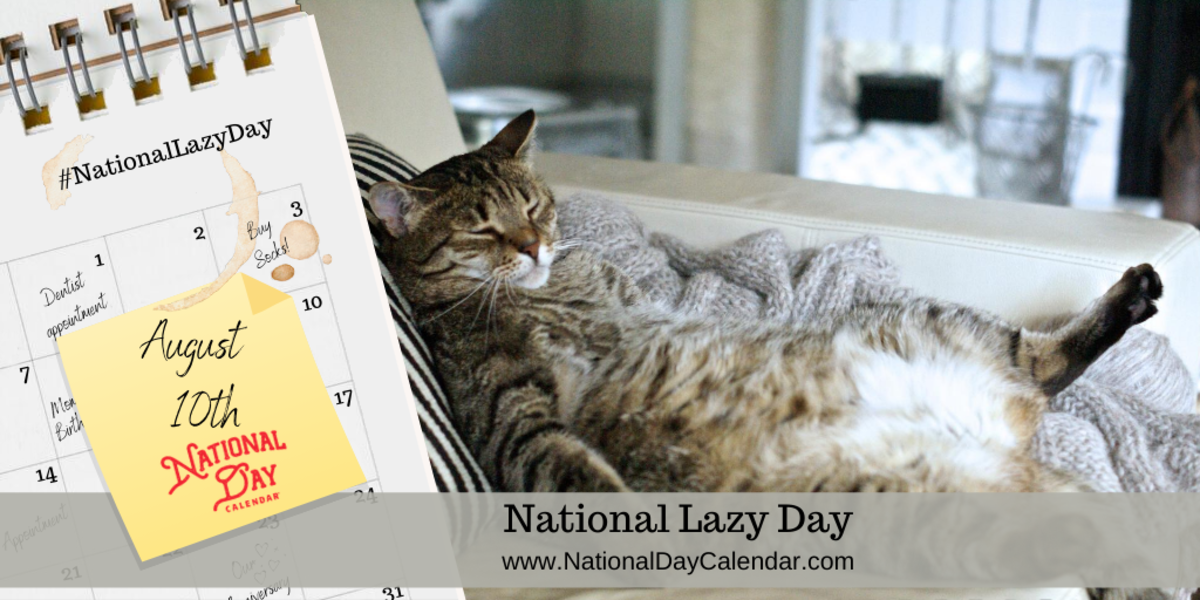 enjoy-your-lazy-moment-not-only-for-lazy-days
