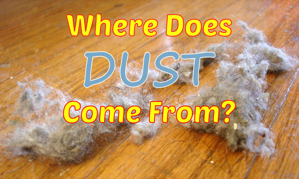 This article will explore the 12 main sources of household dust.