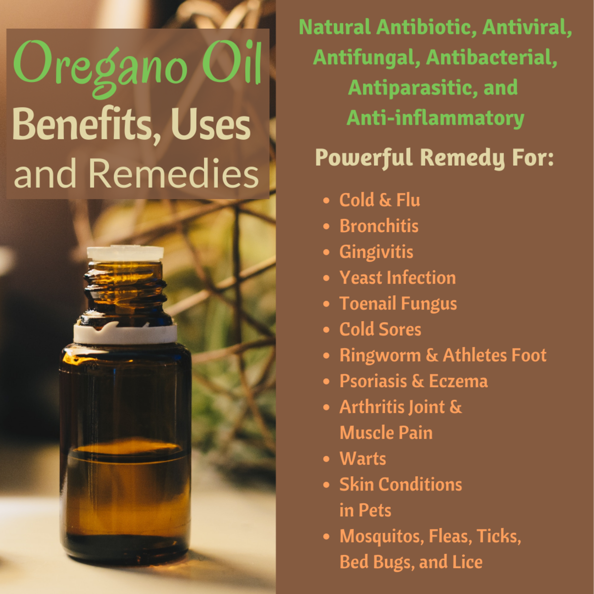 There are a surprising number of uses for Oregano Oil!