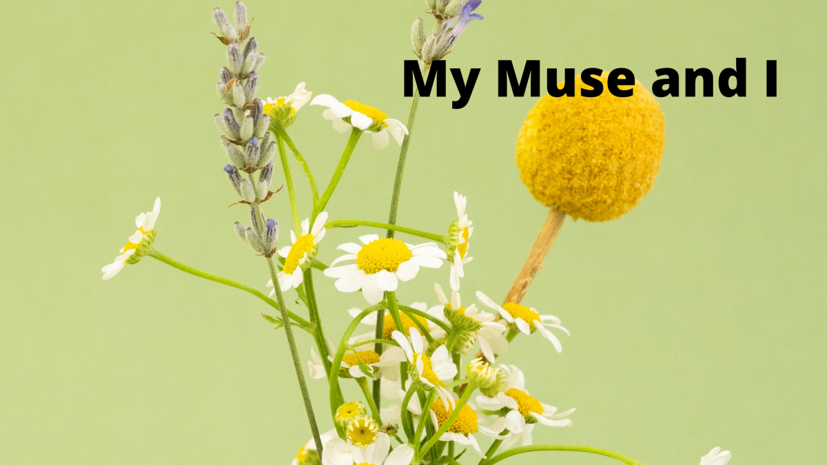 my-muse-and-i
