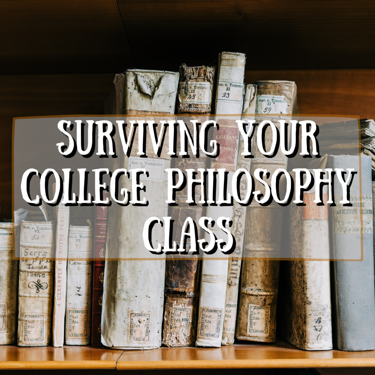 How To Survive A College Philosophy Class Owlcation