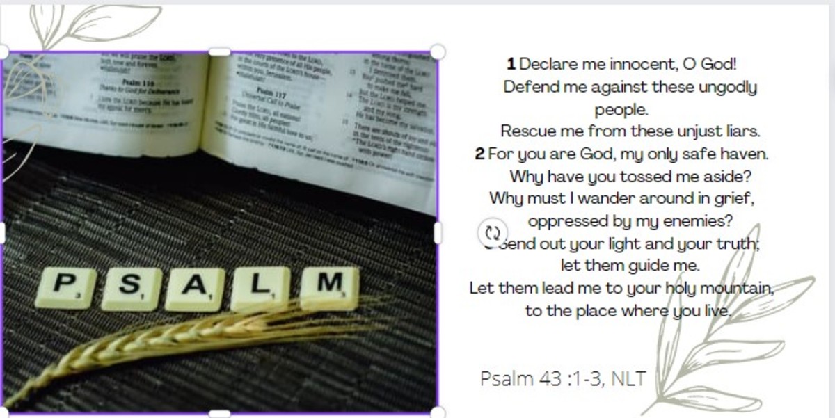psalm43-a-reflection