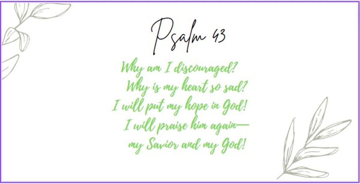 Psalm 43: A Reflection
