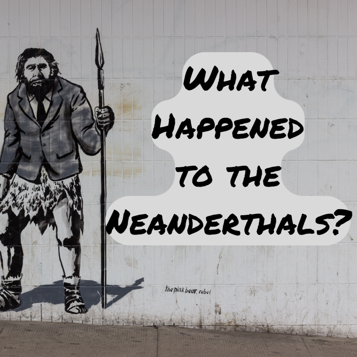 What Happened to the Neanderthals?