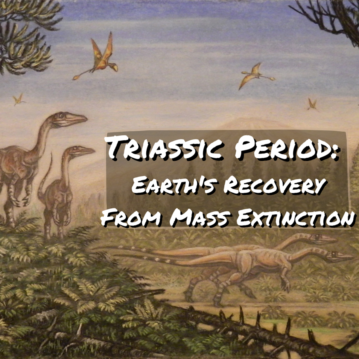 Read on to learn all about the Triassic Period, a time when the Earth recovered from a major mass extinction event.