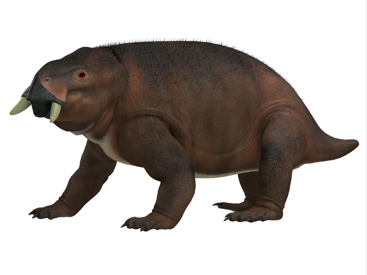 Herds of placerias once roamed the plains of what is now Arizona, but went extinct at the end of the Triassic Period.