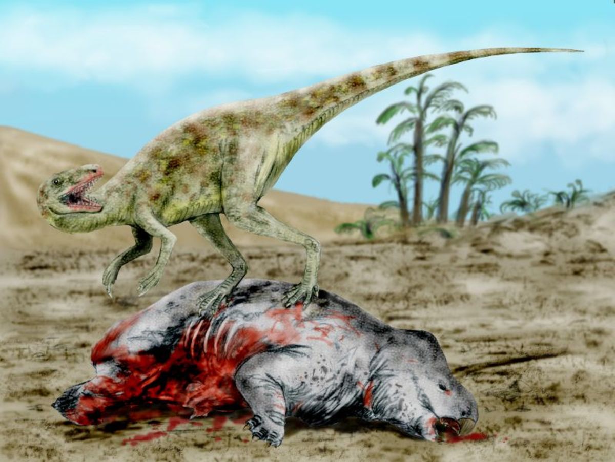 The staurikosaurus — a primitive dinosaur that lived in Brazil during the Late Triassic.