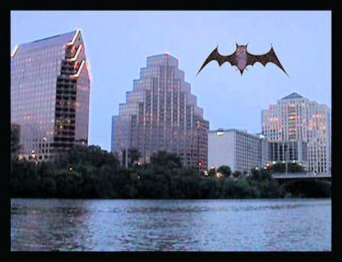 Mexican free-tailed bats fly out from the Congress Avenue Bridge at dusk. It's a summer treat! Bring your friends and spread a blanket on the Austin Times viewing area.