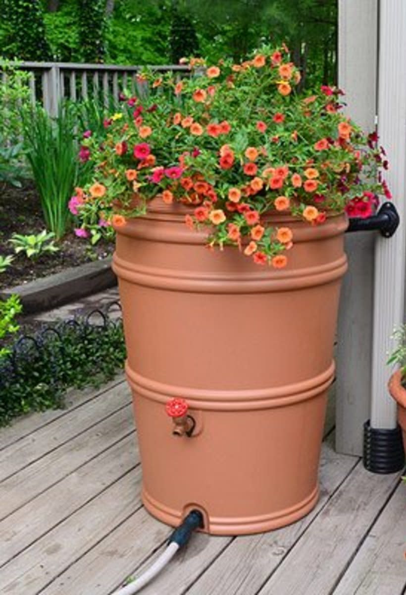 Run-off water can be harvested in attractive rain barrels.