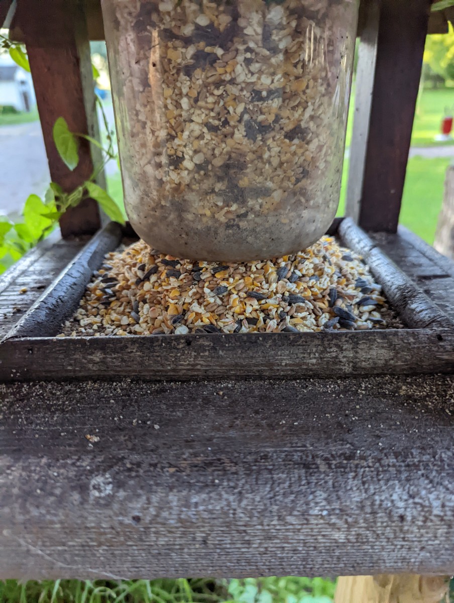 bird-feeder-filling-with-quality-bird-products