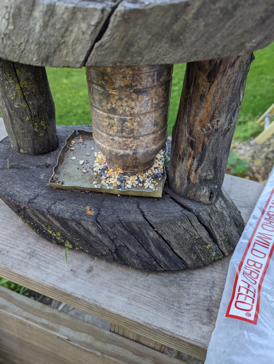 Bird Feeder Filling with Quality Bird Products