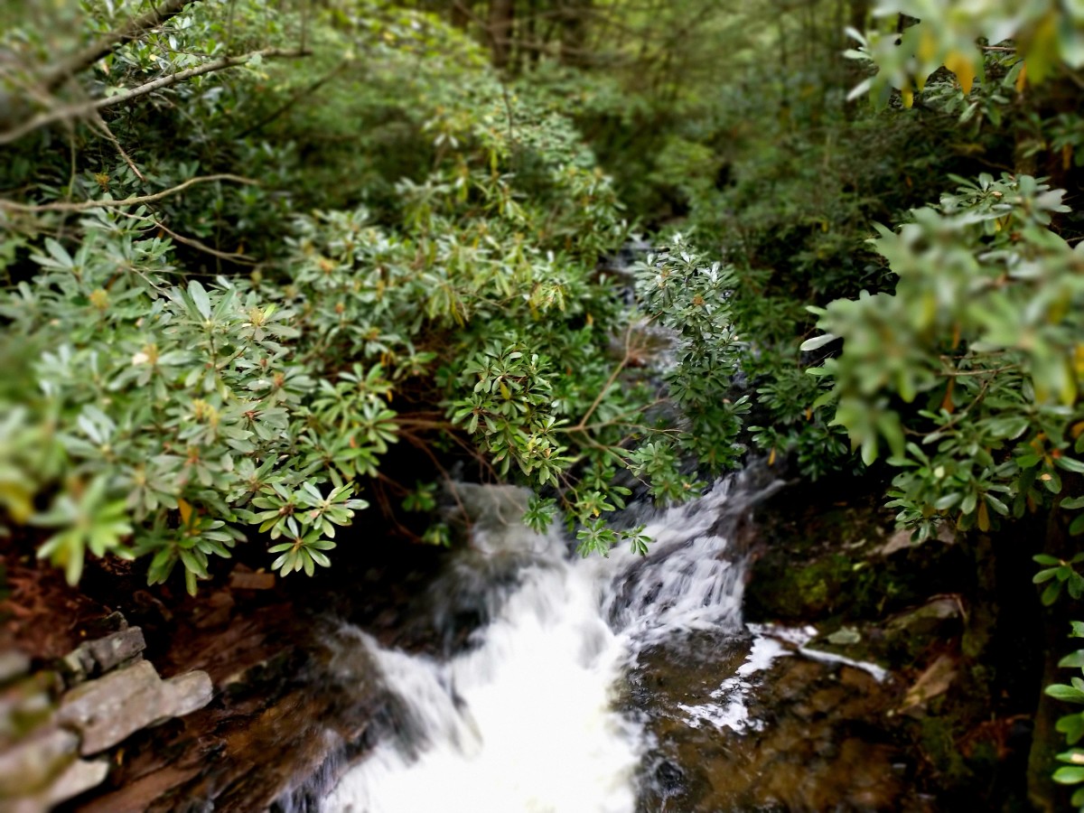 Hidden waterfalls abound in the area surrounding Hickory Run State Park. 