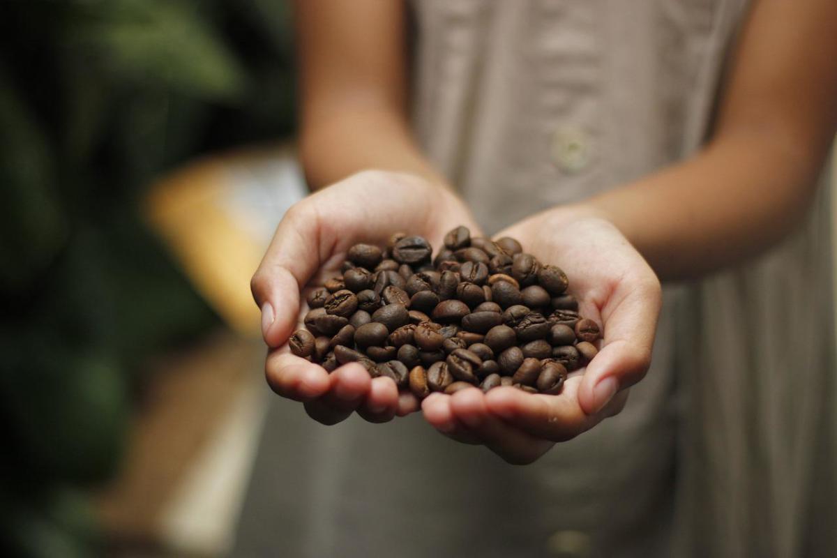 The Amazing Story of the World’s Rarest Coffee