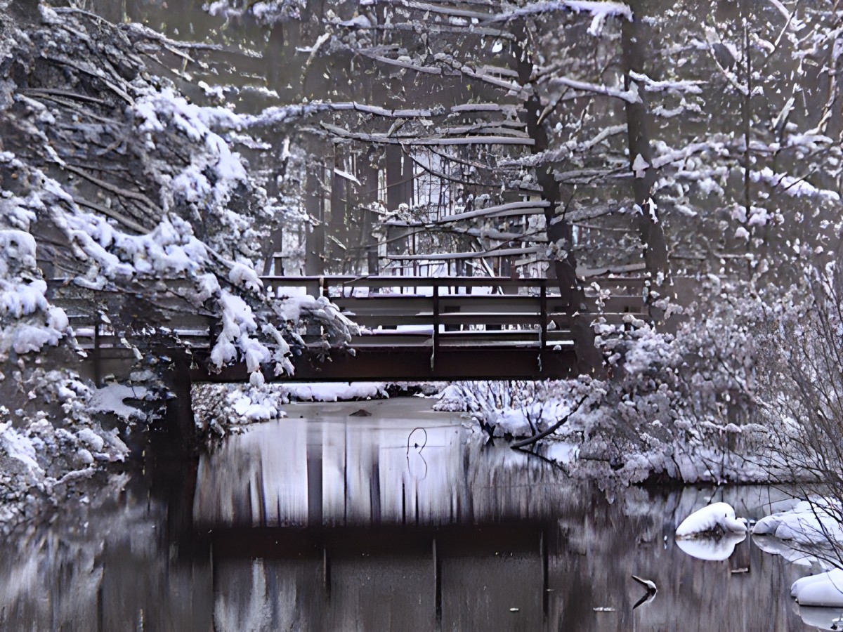 Cowans Gap State Park A MustVisit For Nature Lovers HubPages