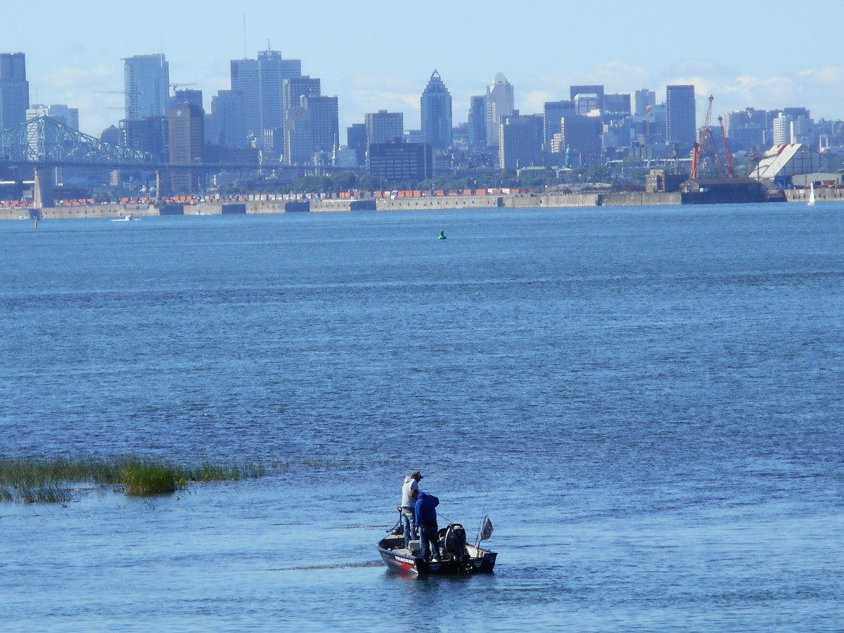 Montreal seen from 'île Charron, Longueuil