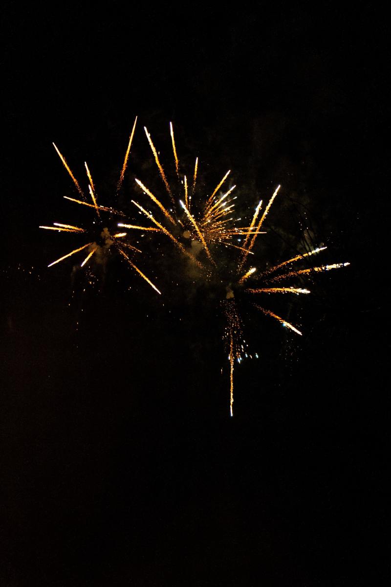 20 Ideas of What to Do With Your Pet's Ashes PetHelpful