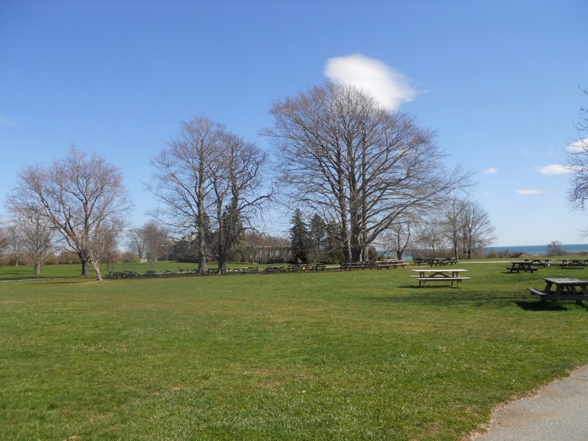 A view of the picnic area during the off season. 