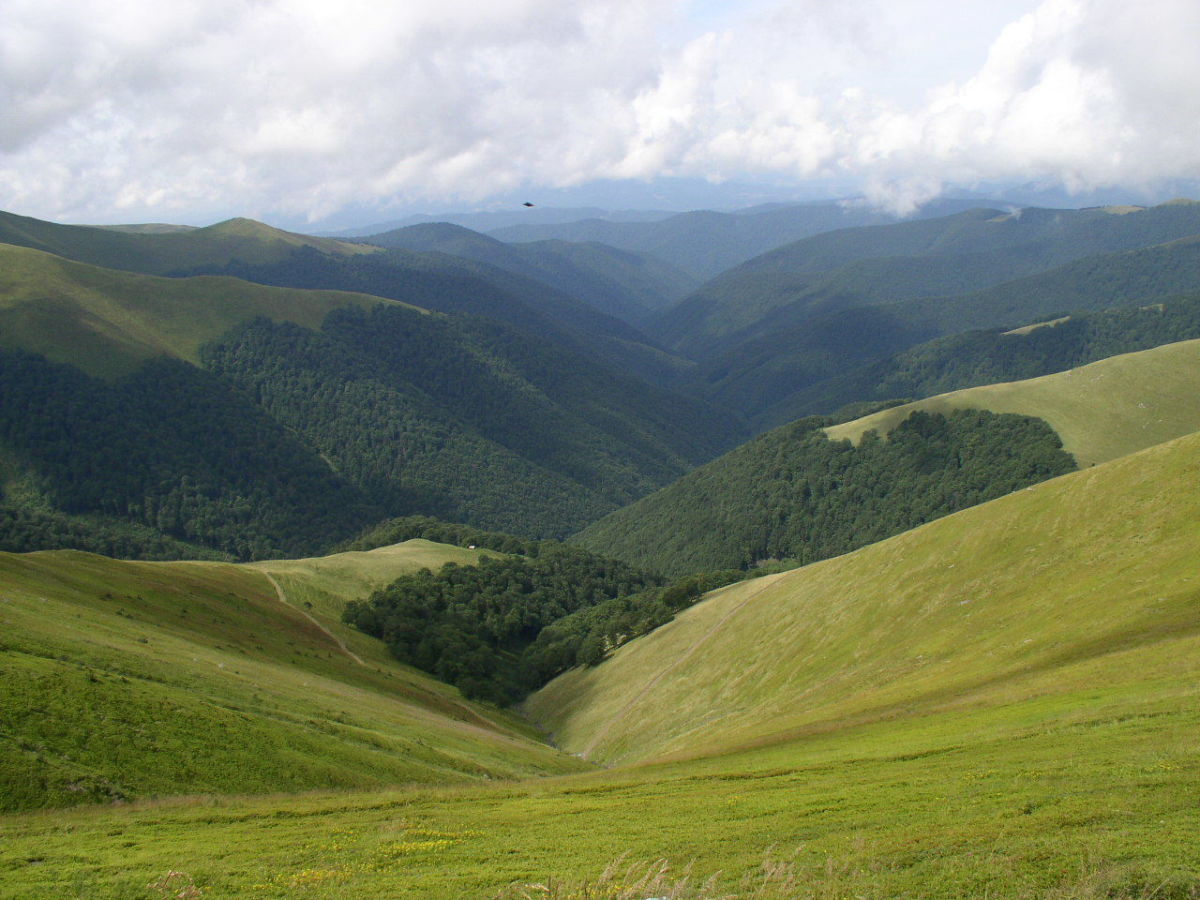carpathian-mountains-structure-mineral-resources-plant-and-animal-life-history