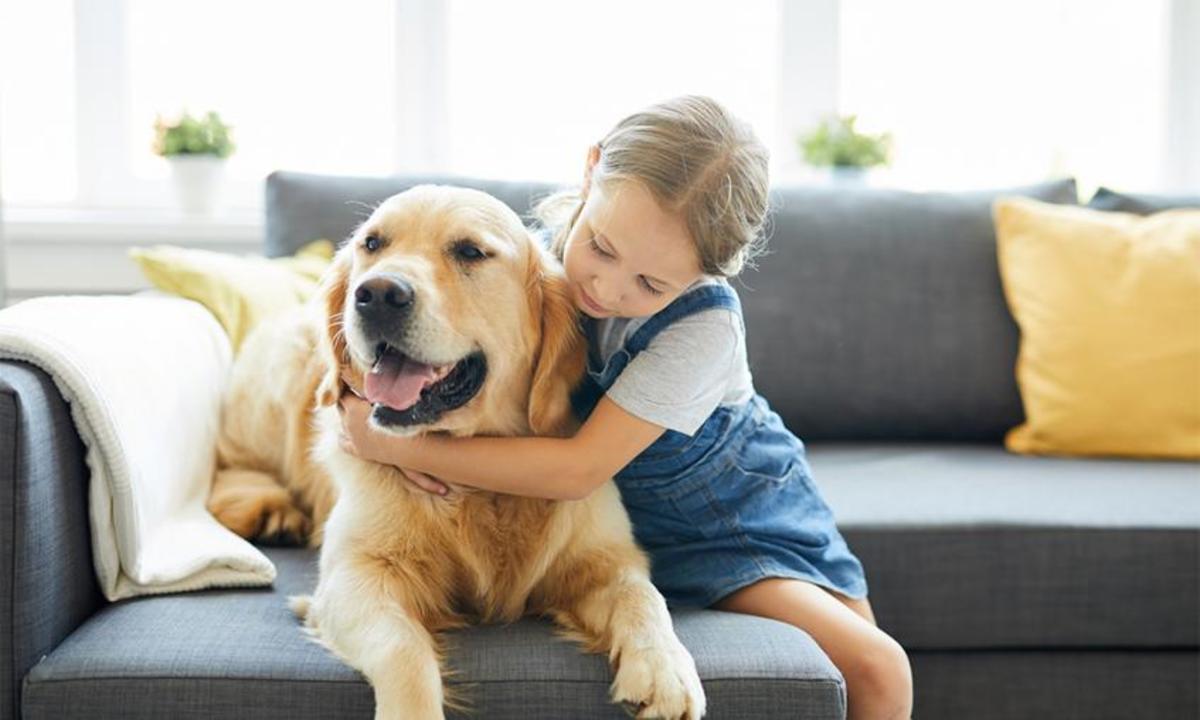 5-best-dog-breeds-for-children