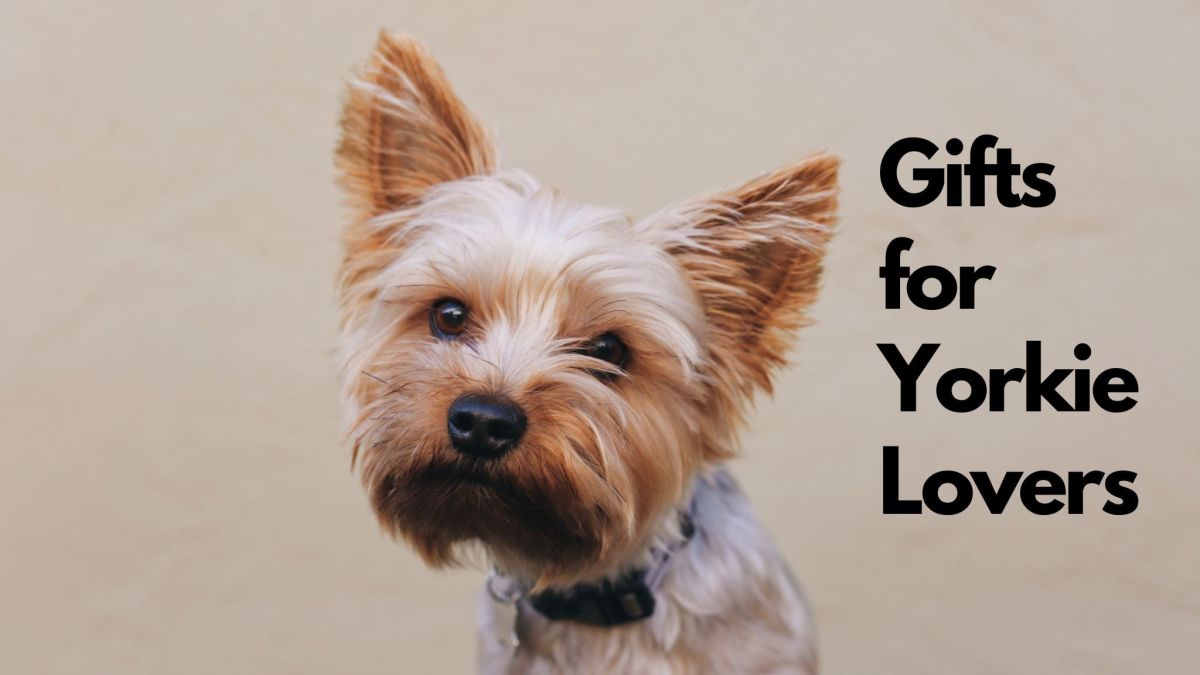 15 Best Gifts for Yorkie Lovers