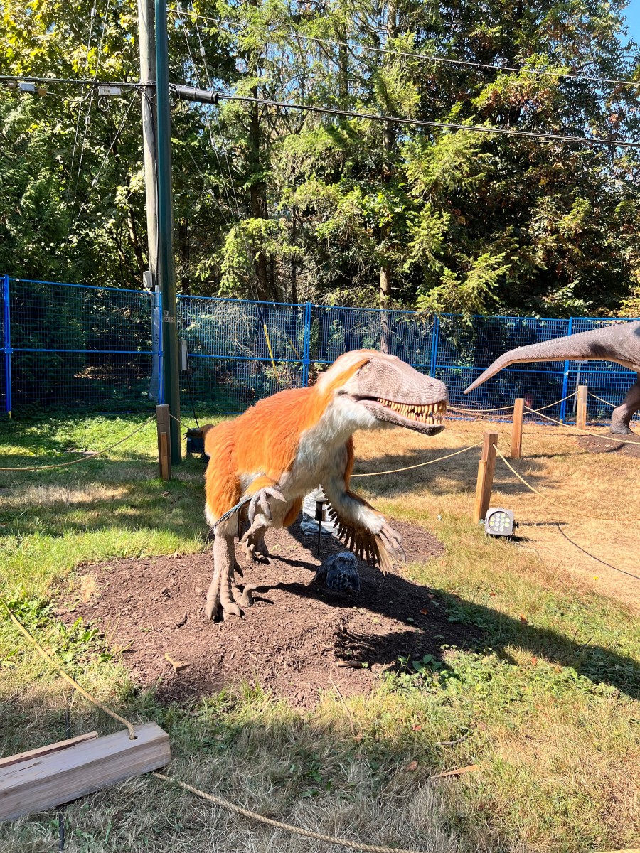 Another view of Austroraptor at the fair