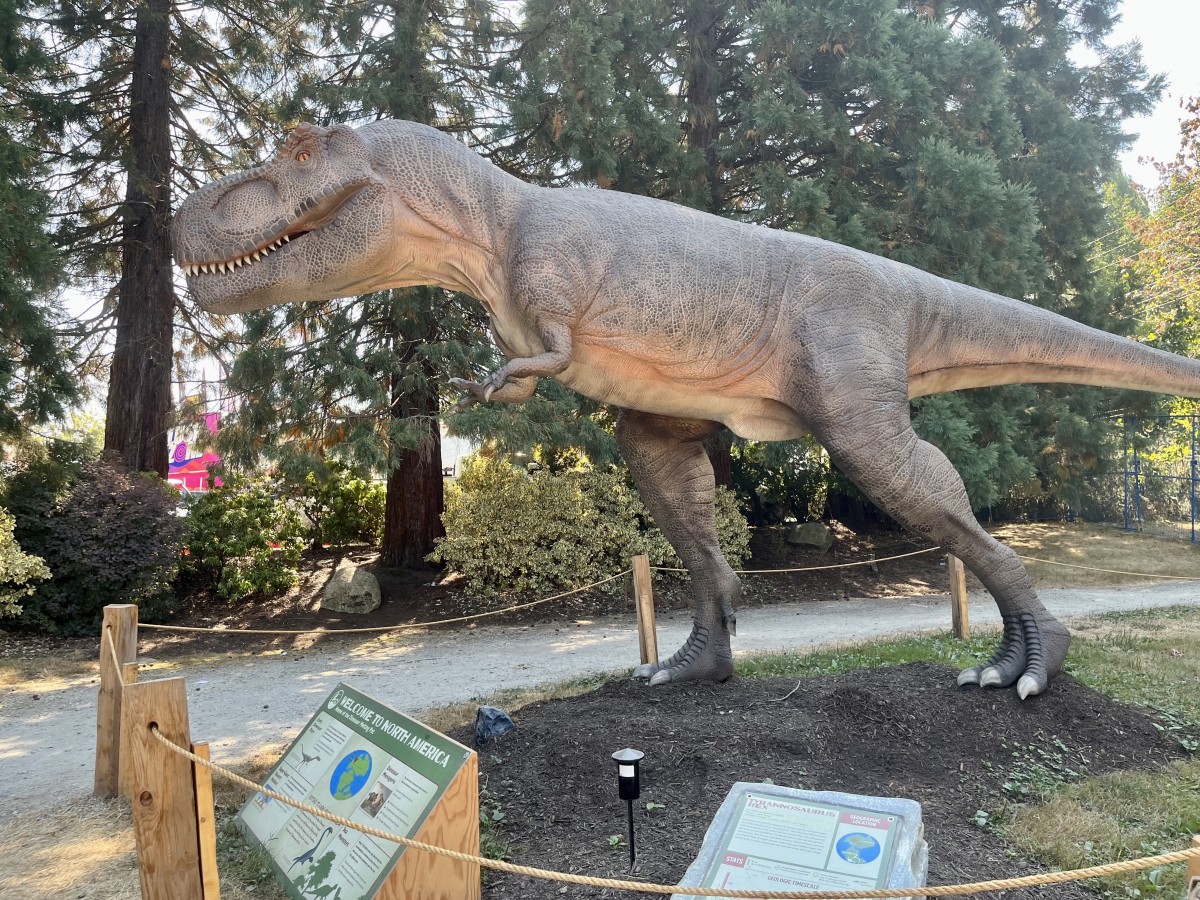 The Tyrannosaurus rex model and information boards