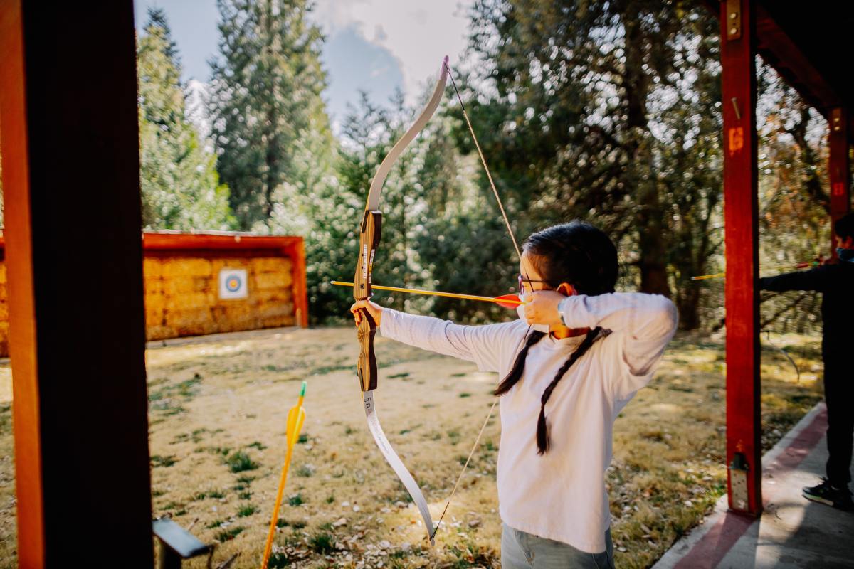 The ultimate guide to the best beginner bows.