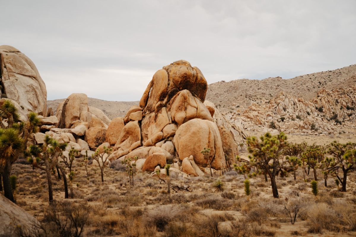 5-places-to-visit-in-joshua-tree-national-park