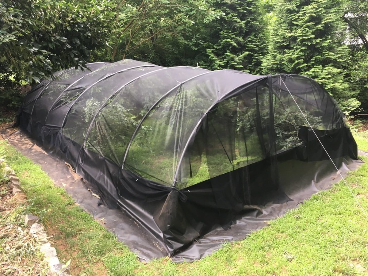 Netting is an effortless way to keep the birds away.