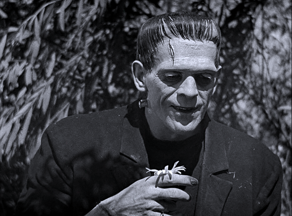 The great Boris Karloff as Frankenstein's monster.