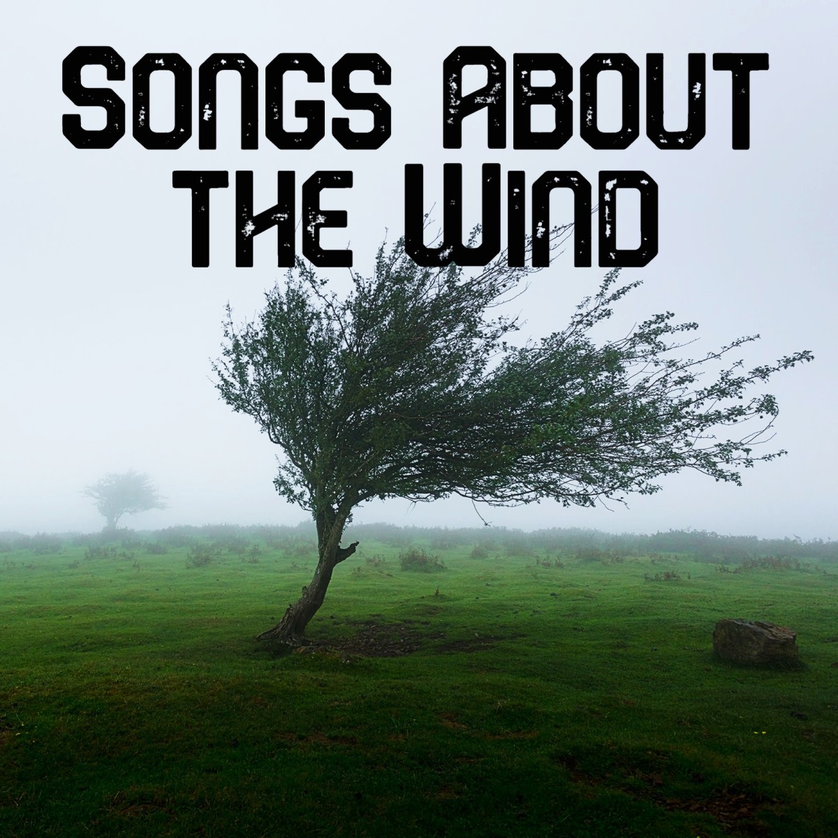 Whether you're facing a slight breeze, strong gust or gale, or a full blown hurricane, honor the grace and power of the wind with a playlist of pop, rock, country, and R&B songs.