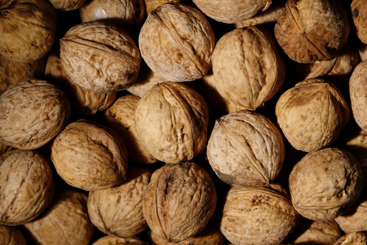 Walnuts are a great source of selenium and sulfur 