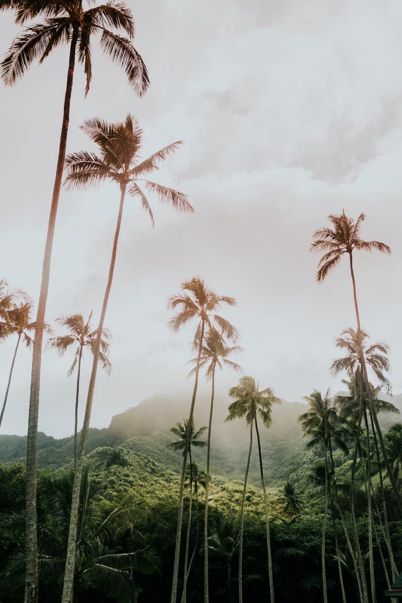 hawaii-instagram-captions