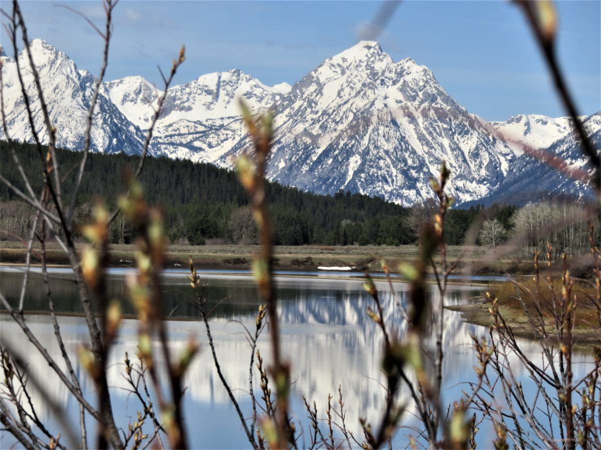 A Vacation to Jackson Hole, Wyoming