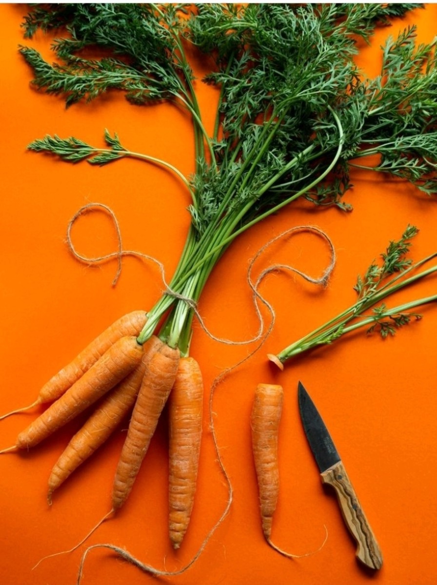 Carrots: Nutritional Composition, Health Benefits, Frequently Asked Questions
