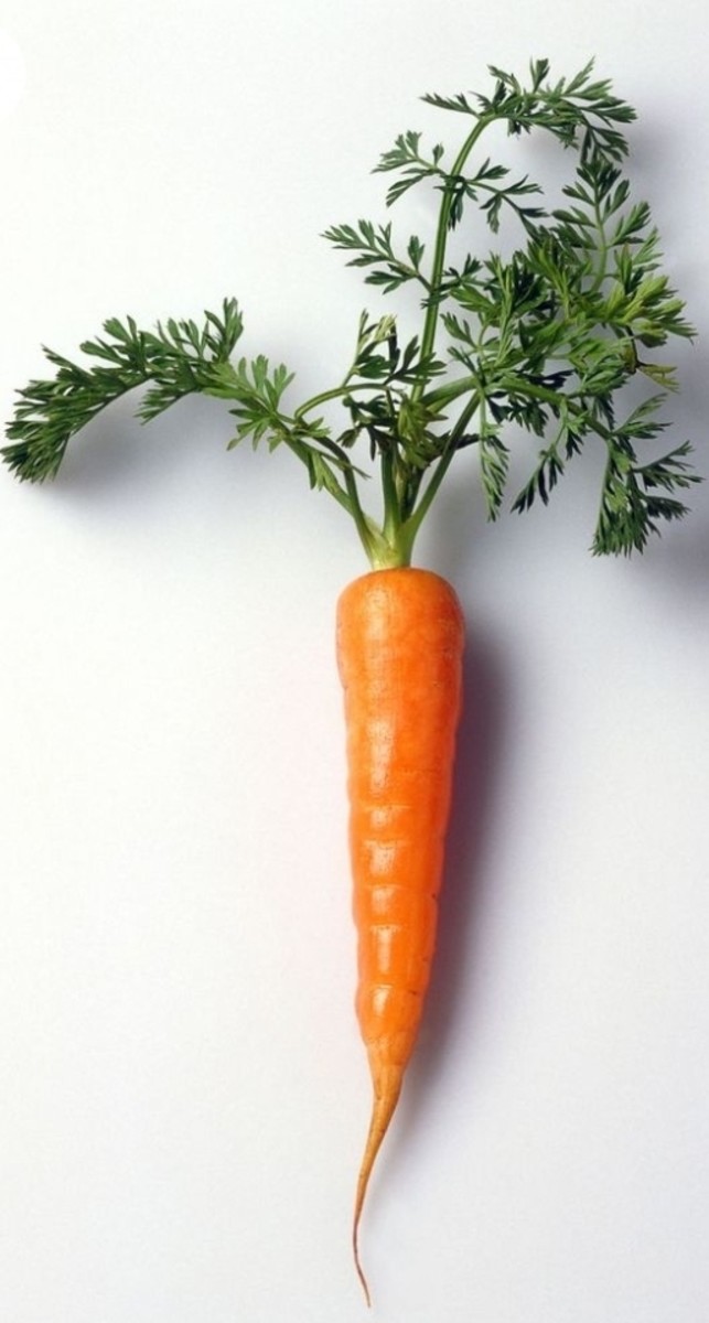 carrots-nutritional-composition-health-benefits-frequently-asked-questions
