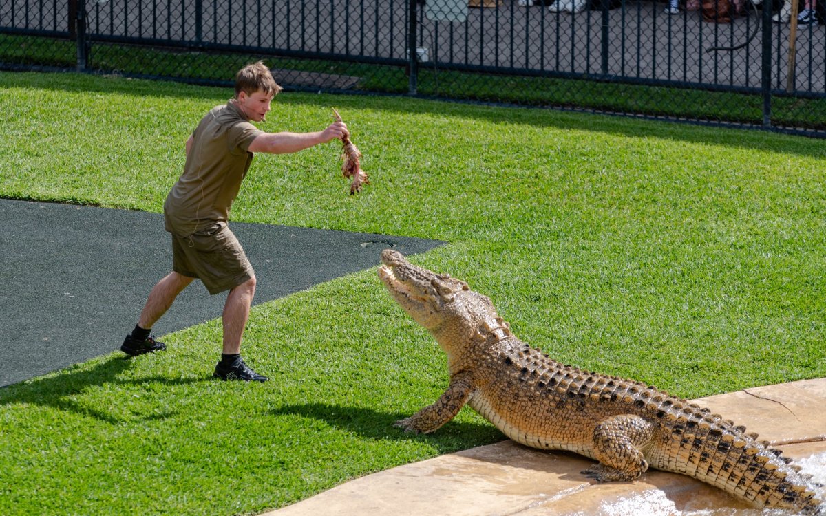 the-pointlessness-of-alligator-wrestling