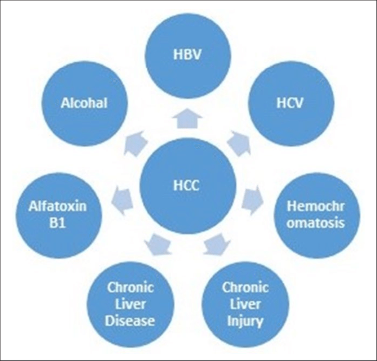 risk-factors-for-hepatocelular-carcinomahcc