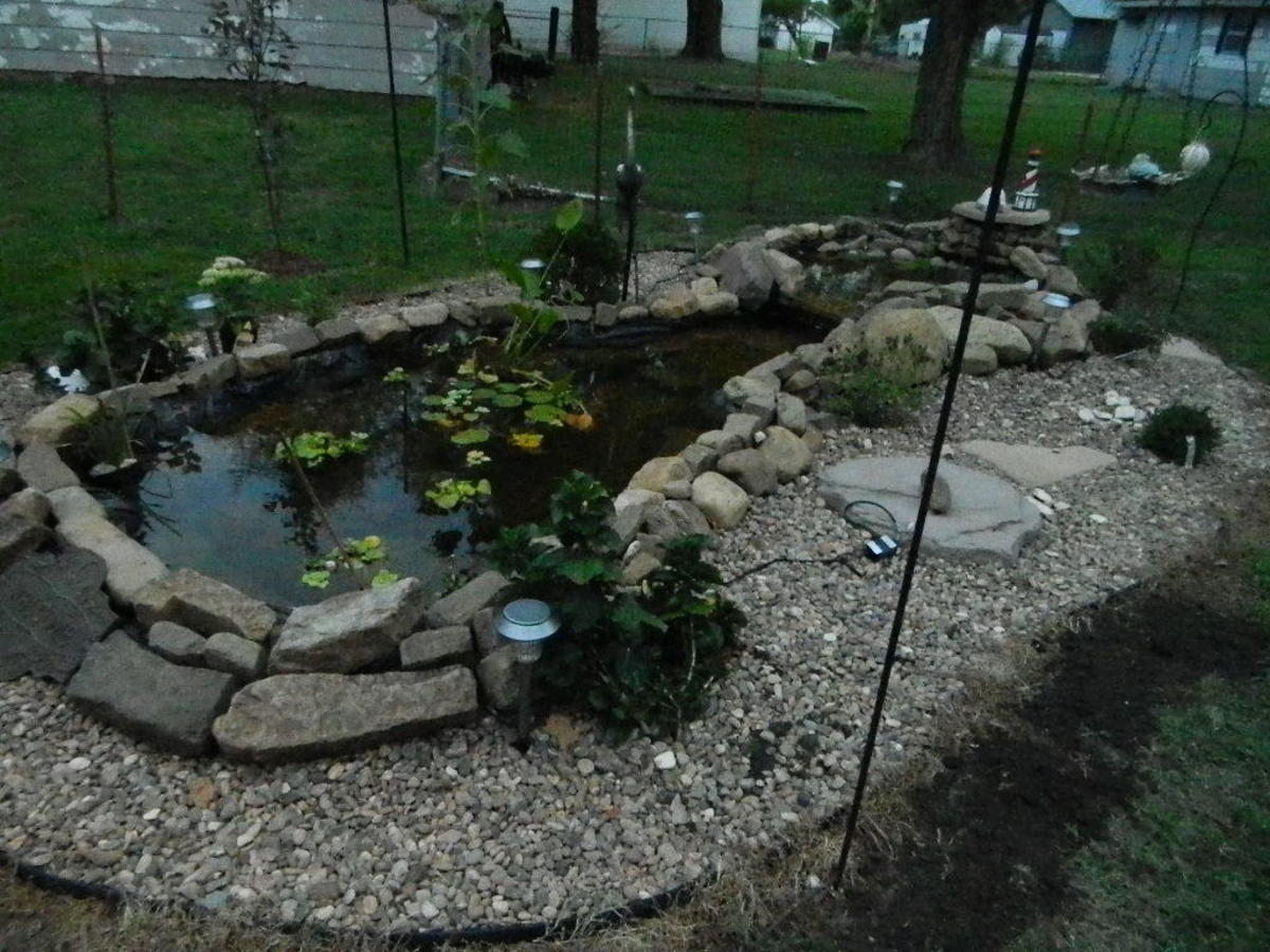 Lessons Learned: Building a Koi Pond in My Backyard