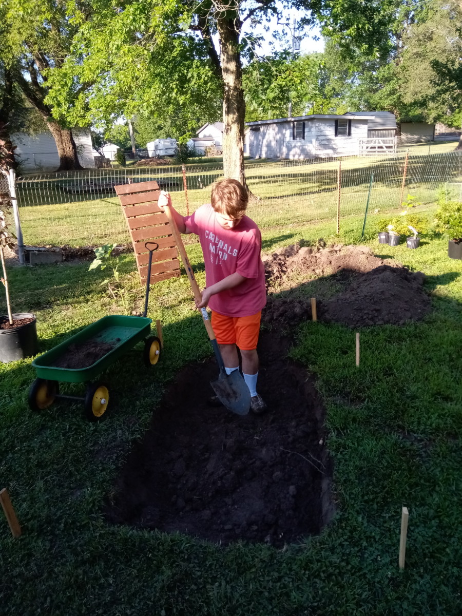 My trusty assistant digging our pond.