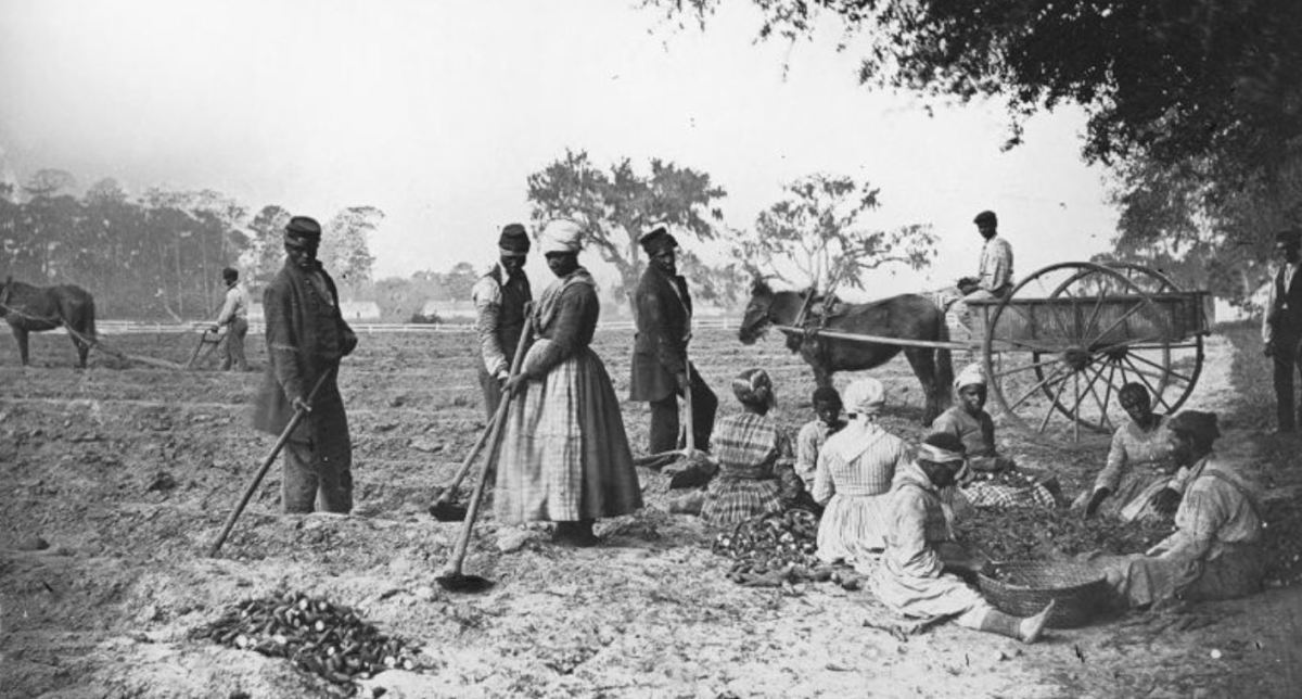 Enslaved people at work on a plantation, 1862/63
