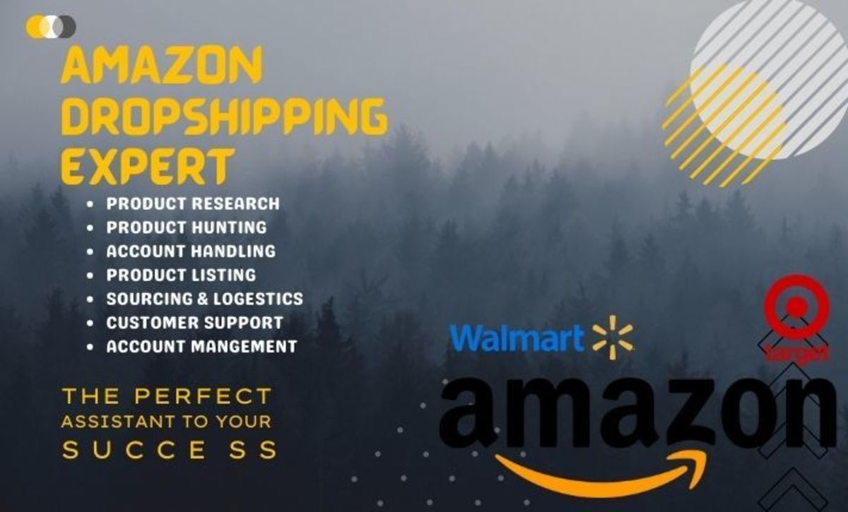 Amazon Dropshipping Expert