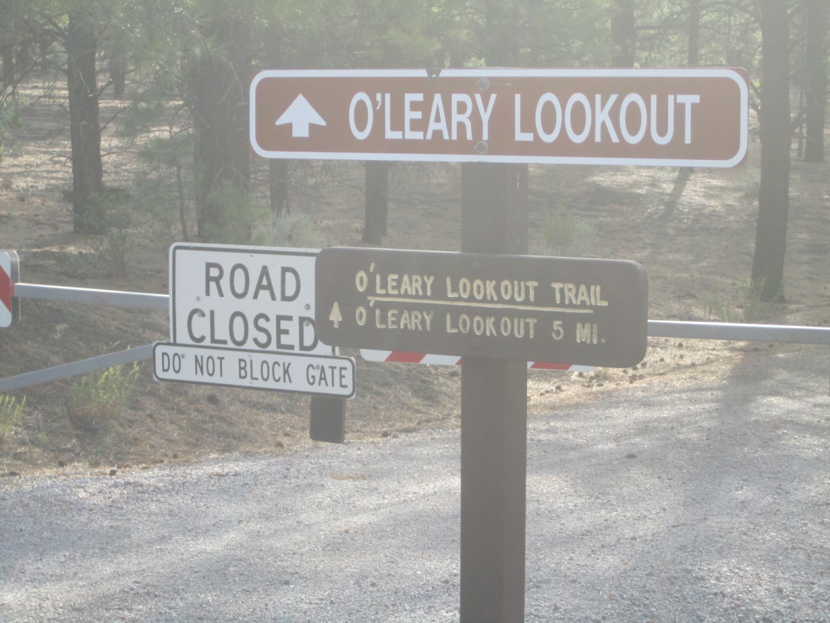 Hiking O'Leary Peak in Flagstaff, Arizona