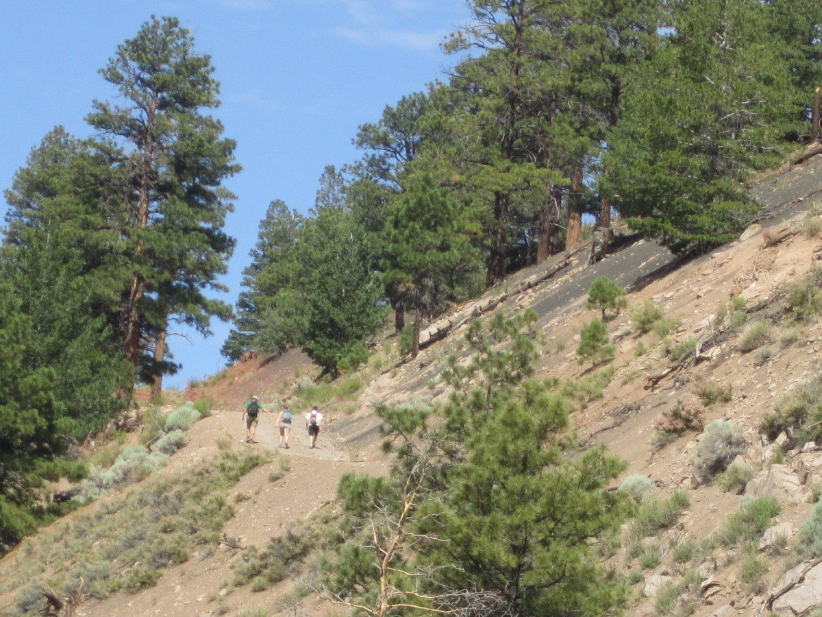 hiking-oleary-peak-in-flagstaff-arizona