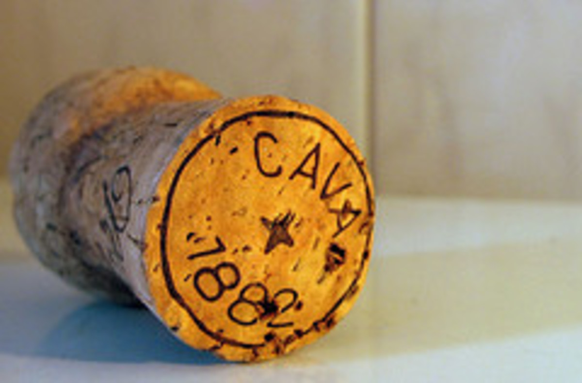 Cava cork important to the process of a Spanish cava.