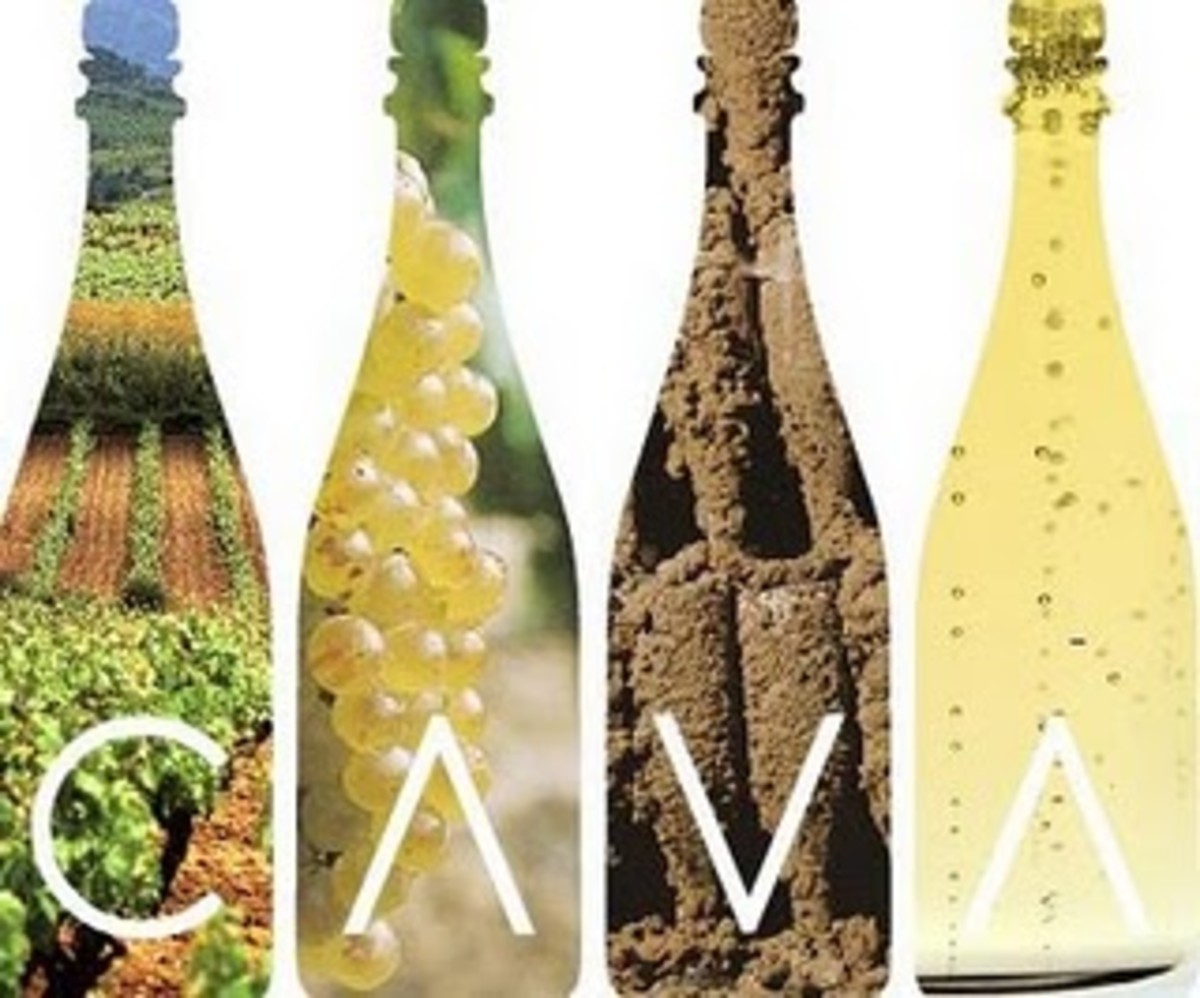 Spanish Cavas - Spain's sparkling wines