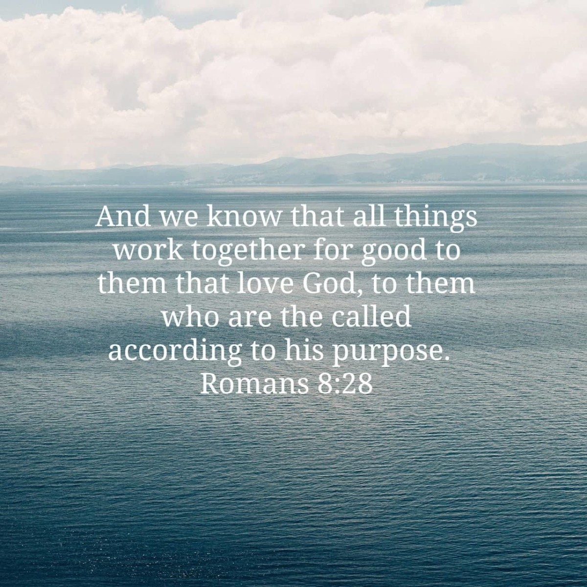 Romans 8 28 A Reflection LetterPile