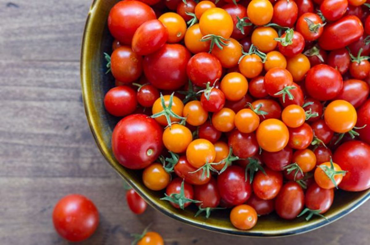 Top 50 Interesting Facts About Tomatoes